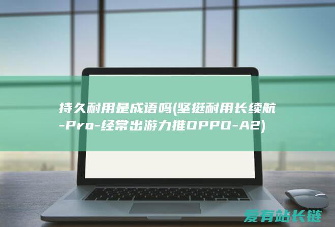 持久耐用是成语吗 (坚挺耐用长续航-Pro-经常出游力推OPPO-A2)