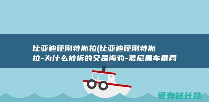 比亚迪硬刚特斯拉 (比亚迪硬刚特斯拉-为什么被拆的又是海豹-慕尼黑车展局面高能)