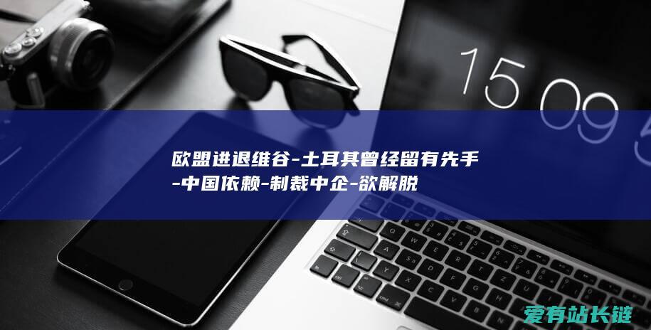 欧盟进退维谷-土耳其曾经留有先手-中国依赖-制裁中企-欲解脱