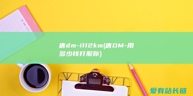 唐dm-i 112km (唐DM-用多少钱打服你)