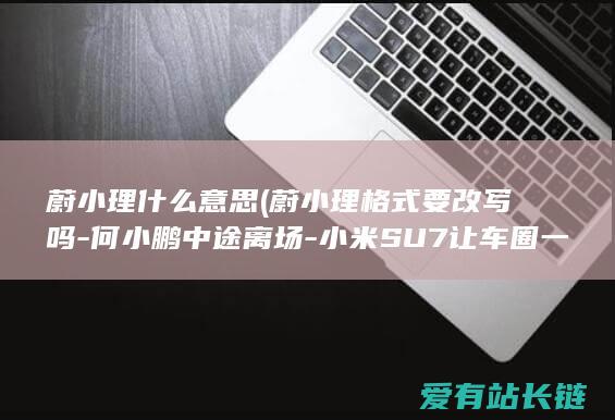 蔚小理什么意思 (蔚小理格式要改写吗-何小鹏中途离场-小米SU7让车圈一夜未眠)